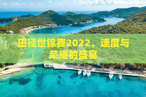 田径世锦赛2022，速度与荣耀的盛宴