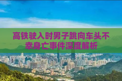 高铁驶入时男子跳向车头不幸身亡事件深度解析