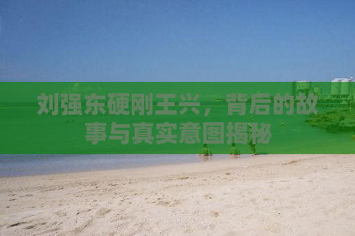 刘强东硬刚王兴，背后的故事与真实意图揭秘