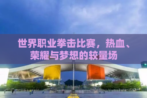 世界职业拳击比赛，热血、荣耀与梦想的较量场