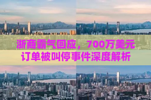 浙商霸气回应，700万美元订单被叫停事件深度解析