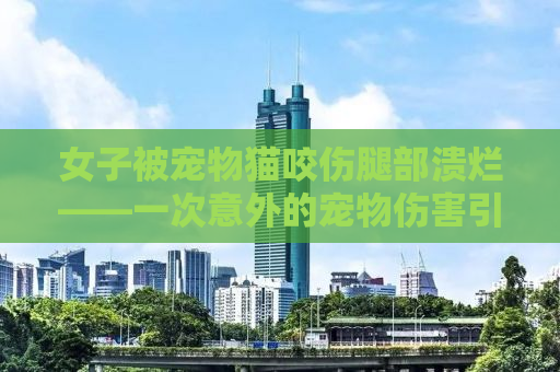 女子被宠物猫咬伤腿部溃烂——一次意外的宠物伤害引发的警示