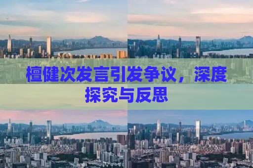 檀健次发言引发争议，深度探究与反思