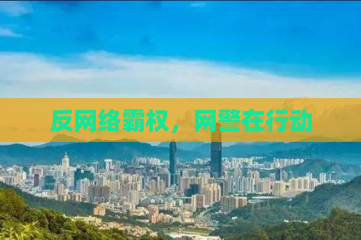 反网络霸权，网警在行动