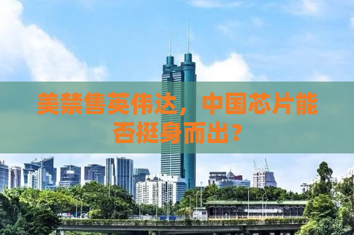 美禁售英伟达，中国芯片能否挺身而出？