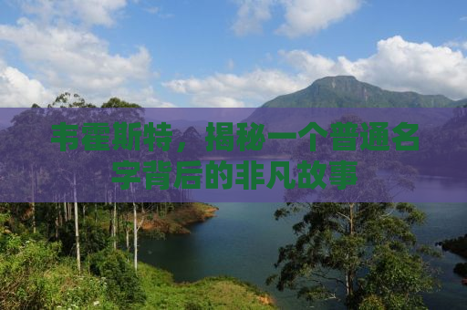 韦霍斯特，揭秘一个普通名字背后的非凡故事