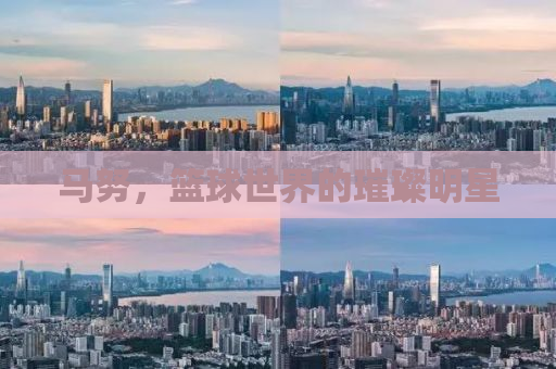 马努，篮球世界的璀璨明星