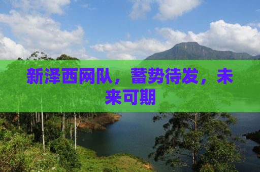 新泽西网队，蓄势待发，未来可期