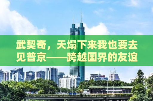 武契奇，天塌下来我也要去见普京——跨越国界的友谊与对话