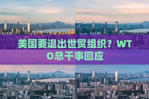 美国要退出世贸组织？WTO总干事回应