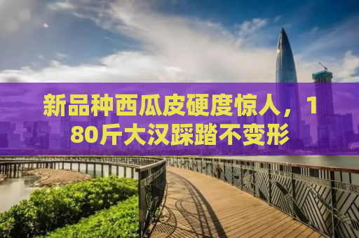 新品种西瓜皮硬度惊人，180斤大汉踩踏不变形