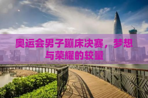 奥运会男子蹦床决赛，梦想与荣耀的较量