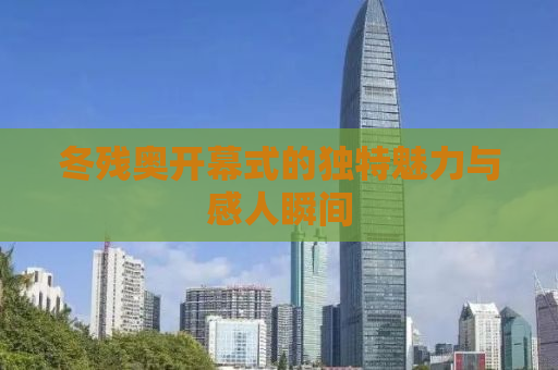 冬残奥开幕式的独特魅力与感人瞬间