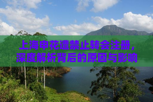 上海申花遭禁止转会注册，深度解析背后的原因与影响