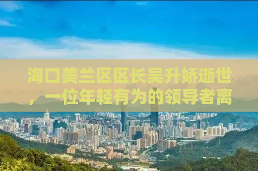 海口美兰区区长吴升娇逝世，一位年轻有为的领导者离世，享年仅41岁