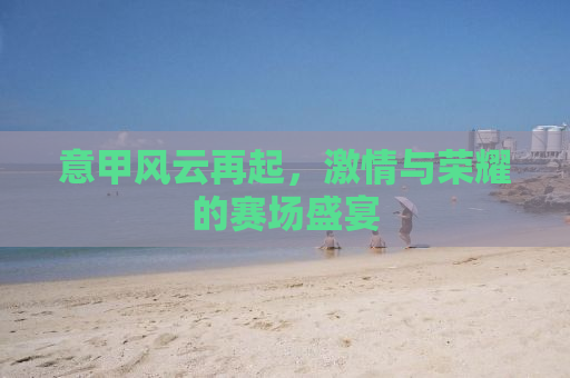 意甲风云再起，激情与荣耀的赛场盛宴
