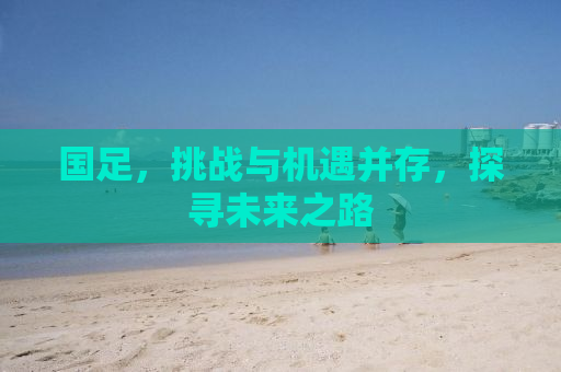 国足，挑战与机遇并存，探寻未来之路