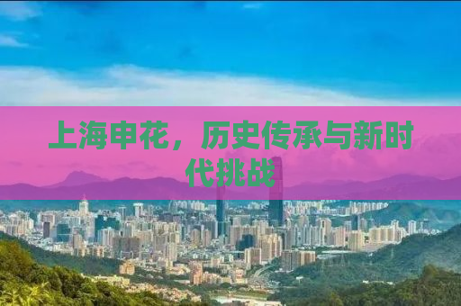 上海申花，历史传承与新时代挑战