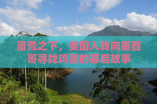 蛋荒之下，美国人转向墨西哥寻找鸡蛋的幕后故事