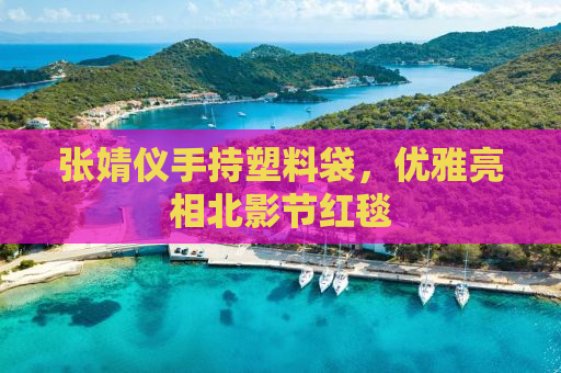 张婧仪手持塑料袋，优雅亮相北影节红毯