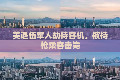 美退伍军人劫持客机，被持枪乘客击毙