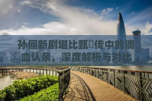 孙俪新剧堪比甄嬛传中的滴血认亲，深度解析与对比