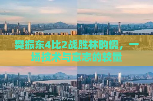 樊振东4比2战胜林昀儒，一场技术与意志的较量