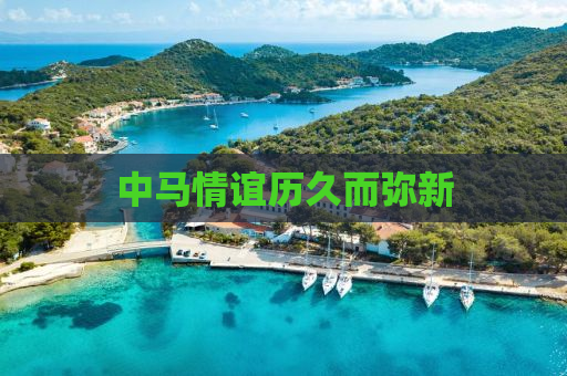 中马情谊历久而弥新