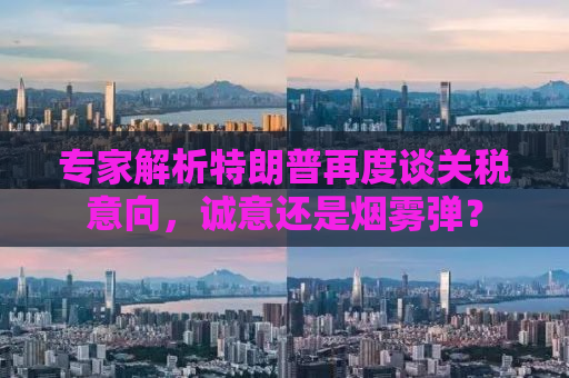 专家解析特朗普再度谈关税意向，诚意还是烟雾弹？