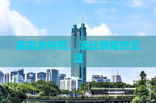徐嘉余夺冠，泳坛荣耀的见证