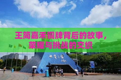 王简嘉禾铜牌背后的故事，荣耀与挑战的交织