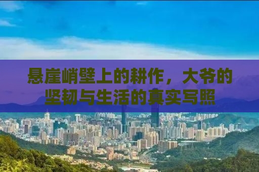 悬崖峭壁上的耕作，大爷的坚韧与生活的真实写照