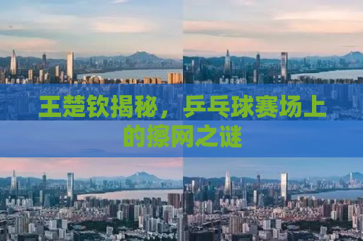 王楚钦揭秘，乒乓球赛场上的擦网之谜