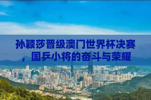 孙颖莎晋级澳门世界杯决赛，国乒小将的奋斗与荣耀