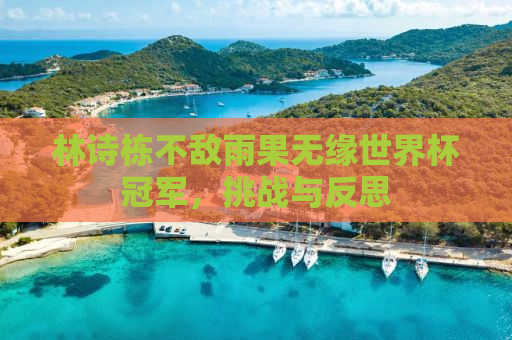 林诗栋不敌雨果无缘世界杯冠军，挑战与反思