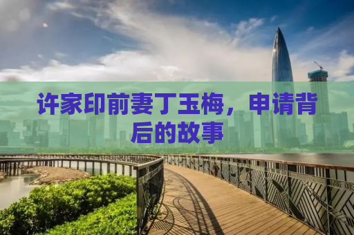 许家印前妻丁玉梅，申请背后的故事