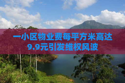 一小区物业费每平方米高达9.9元引发维权风波