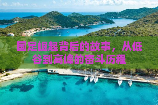 国足崛起背后的故事，从低谷到高峰的奋斗历程