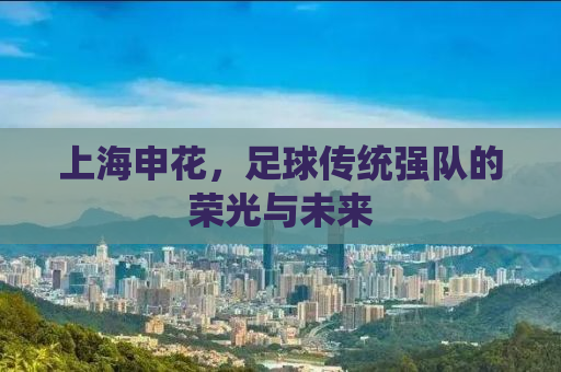 上海申花，足球传统强队的荣光与未来