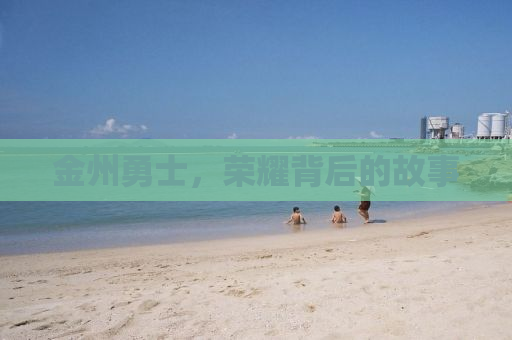金州勇士，荣耀背后的故事