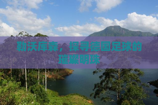 勒沃库森，探寻德国足球的璀璨明珠