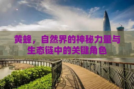 黄蜂，自然界的神秘力量与生态链中的关键角色