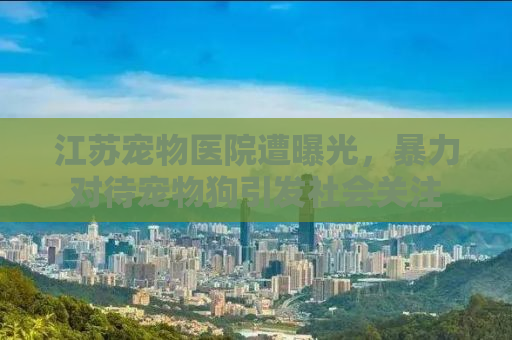 江苏宠物医院遭曝光，暴力对待宠物狗引发社会关注