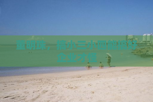 董明珠，搞小三小四能搞好企业才怪