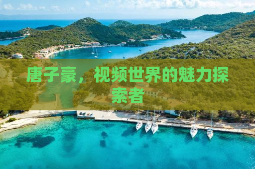 唐子豪，视频世界的魅力探索者