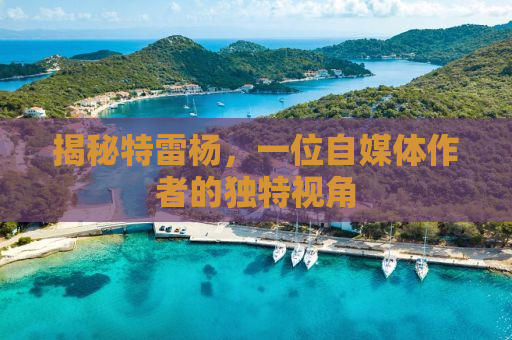 揭秘特雷杨，一位自媒体作者的独特视角