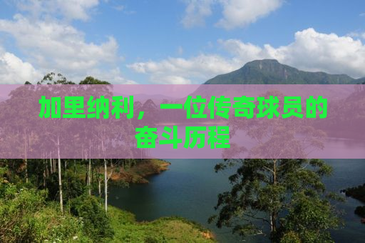 加里纳利，一位传奇球员的奋斗历程