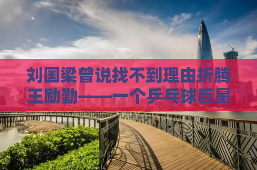 刘国梁曾说找不到理由折腾王励勤——一个乒乓球巨星的成长之路