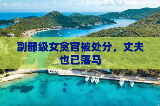 副部级女贪官被处分，丈夫也已落马