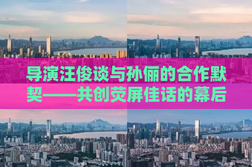 导演汪俊谈与孙俪的合作默契——共创荧屏佳话的幕后故事